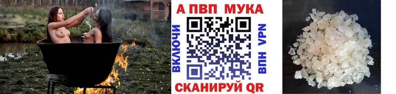 A-PVP СК КРИС  Тимашёвск 