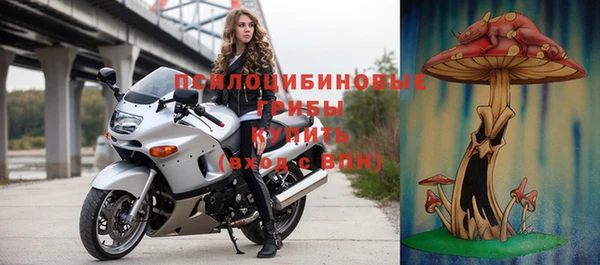 ешки Нефтекумск