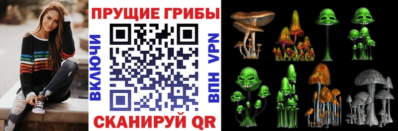 Псилоцибиновые грибы прущие грибы  Тимашёвск 