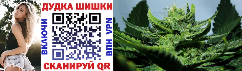 как найти закладки Тимашёвск Каннабис семена